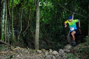 BIB: 
                            <button type="button" onclick="openModal(19438152)" class="btn btn-primary btn-sm float-right btn-popup" data-toggle="modal" data-target=".modal-high-quality">
                        <i class="fas fa-shopping-cart"></i> Add to Cart
                    </button>
                                            <button type="button" onclick="isThisMe(19438152, true)" class="btn btn-success btn-sm float-right btn-popup btn-isme hidden" data-toggle="tooltip" data-placement="bottom" title="นี่คือรูปของคุณใช่ไหม คลิกที่นี่เพื่อเอาเข้าอัลบั้ม">
                        <i class="fas fa-plus"></i> Add to album
                    </button>
                    <button type="button" onclick="isThisMe(19438152, false)" class="btn btn-warning btn-sm float-right btn-popup btn-isnotme hidden">
                        <i class="fas fa-ban"></i> Remove from album
                    </button>